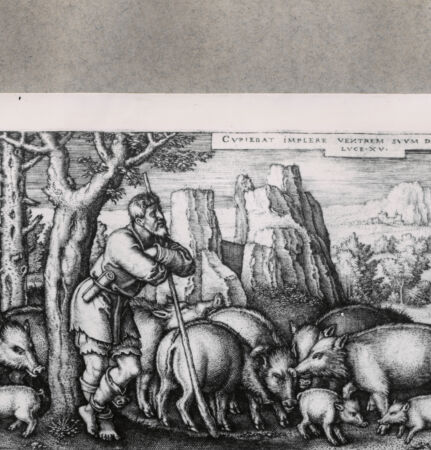 Rückseite von  [http://creativecommons.org/publicdomain/mark/1.0/] ... - , bh121426. Foto.