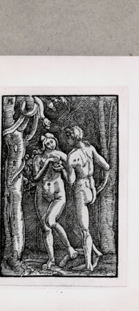 Rückseite von  [http://creativecommons.org/publicdomain/mark/1.0/] Adam und Eva - , bh121559. Foto.