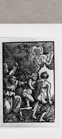 Rückseite von  [http://creativecommons.org/publicdomain/mark/1.0/] ... - , bh121560. Foto.