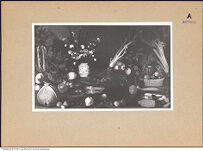 Thumbnail des vierten Ordners