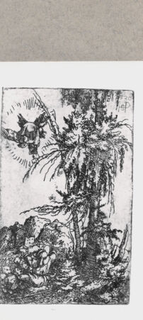 Rückseite von  [http://creativecommons.org/publicdomain/mark/1.0/] ... - , bh122593. Foto.