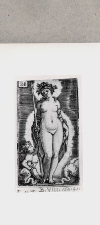 Rückseite von  [http://creativecommons.org/publicdomain/mark/1.0/] Venus - , bh122613. Foto.