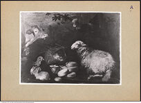 Thumbnail des vierten Ordners