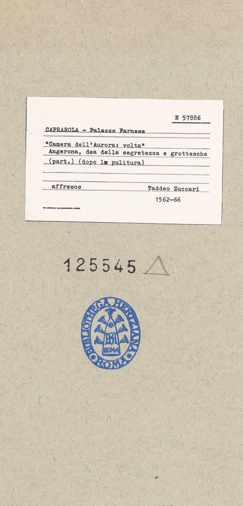 Rückseite von bh125545_recto