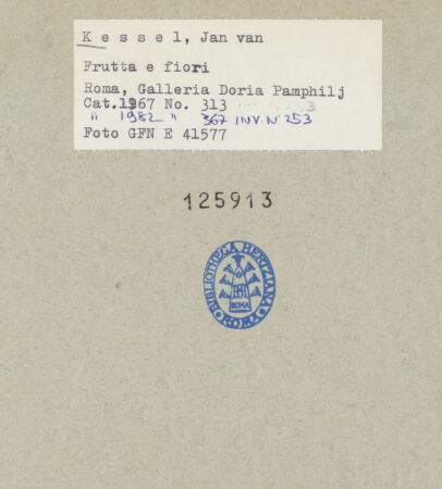 Rückseite von bh125913_recto