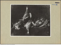 Thumbnail des 9. Ordners