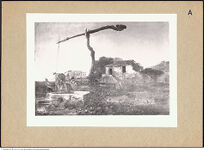 Thumbnail des ersten Ordners