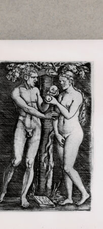 Rückseite von  [http://creativecommons.org/publicdomain/mark/1.0/] Adam und Eva - , bh127972. Foto.