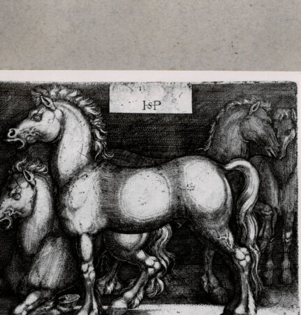 Rückseite von  [http://creativecommons.org/publicdomain/mark/1.0/] ... - , bh127979. Foto.