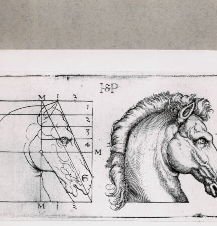 Rückseite von  [http://creativecommons.org/publicdomain/mark/1.0/] ... - , bh127980. Foto.