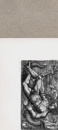 Rückseite von  [http://creativecommons.org/publicdomain/mark/1.0/] ... - , bh128136. Foto.