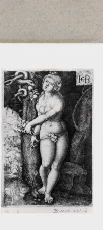 Rückseite von  [http://creativecommons.org/publicdomain/mark/1.0/] ... - , bh129307. Foto.