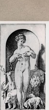 Rückseite von  [http://creativecommons.org/publicdomain/mark/1.0/] ... - , bh129700. Foto.