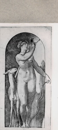 Rückseite von  [http://creativecommons.org/publicdomain/mark/1.0/] ... - , bh129707. Foto.