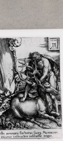 Rückseite von  [http://creativecommons.org/publicdomain/mark/1.0/] ... - , bh130092. Foto.