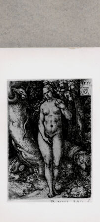 Rückseite von  [http://creativecommons.org/publicdomain/mark/1.0/] ... - , bh130163. Foto.