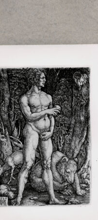 Rückseite von  [http://creativecommons.org/publicdomain/mark/1.0/] Adam - , bh130164. Foto.