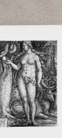 Rückseite von  [http://creativecommons.org/publicdomain/mark/1.0/] ... - , bh130165. Foto.