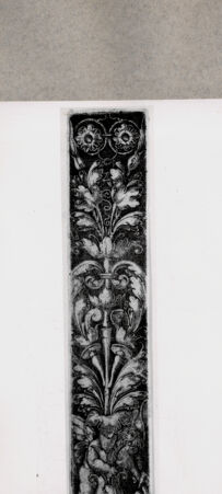 Rückseite von  [http://creativecommons.org/publicdomain/mark/1.0/] ... - , bh130187. Foto.