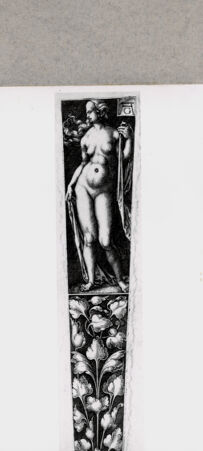 Rückseite von  [http://creativecommons.org/publicdomain/mark/1.0/] ... - , bh130190. Foto.