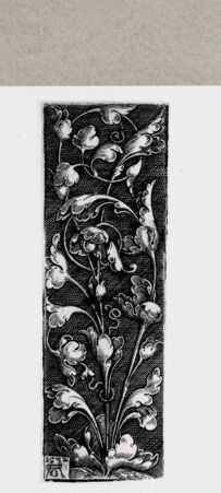 Rückseite von  [http://creativecommons.org/publicdomain/mark/1.0/] ... - , bh130218. Foto.