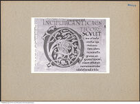 Thumbnail des vierten Ordners