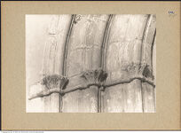 Thumbnail des dritten Ordners