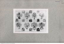 Thumbnail für 165-B-VIII-p-523-525