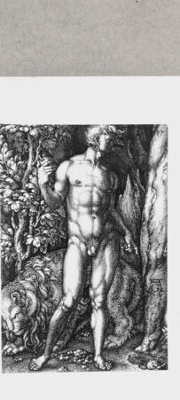 Rückseite von  [http://creativecommons.org/publicdomain/mark/1.0/] Adam - , bh135015. Foto.