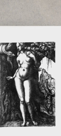 Rückseite von  [http://creativecommons.org/publicdomain/mark/1.0/] ... - , bh135016. Foto.