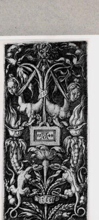 Rückseite von  [http://creativecommons.org/publicdomain/mark/1.0/] ... - , bh135076. Foto.