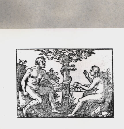 Rückseite von  [http://creativecommons.org/publicdomain/mark/1.0/] ... - , bh135123. Foto.