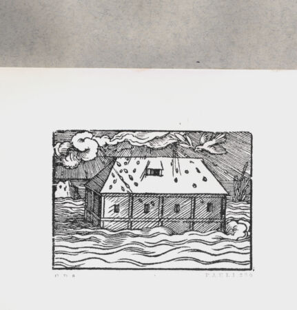 Rückseite von  [http://creativecommons.org/publicdomain/mark/1.0/] ... - , bh135124. Foto.