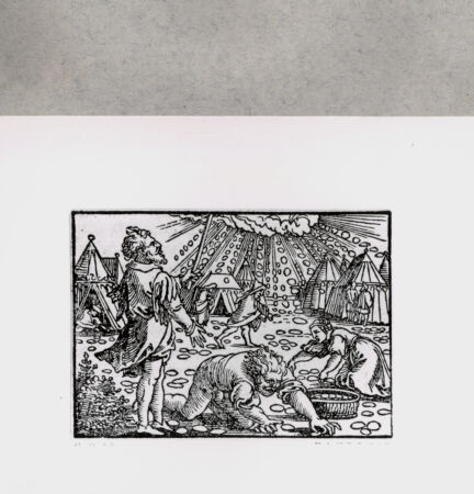 Rückseite von  [http://creativecommons.org/publicdomain/mark/1.0/] ... - , bh135139. Foto.