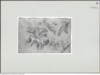 Thumbnail des vierten Ordners