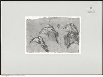 Thumbnail des ersten Ordners