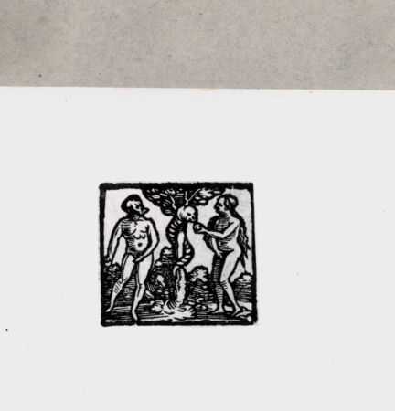 Rückseite von  [http://creativecommons.org/publicdomain/mark/1.0/] Adam und Eva - , bh135619. Foto.