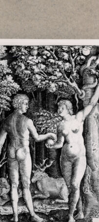 Rückseite von  [http://creativecommons.org/publicdomain/mark/1.0/] Adam und Eva - , bh136127. Foto.