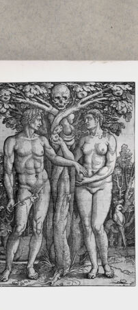 Rückseite von  [http://creativecommons.org/publicdomain/mark/1.0/] Adam und Eva - , bh136163. Foto.