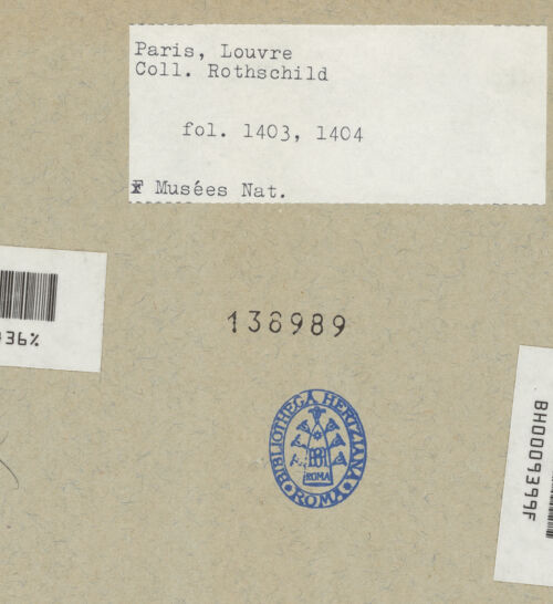 Rückseite von bh136989_recto