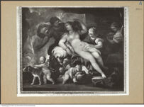 Thumbnail des fünften Ordners