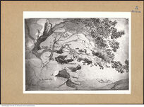 Thumbnail des 9. Ordners