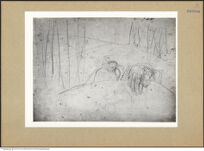 Thumbnail des 17. Ordners