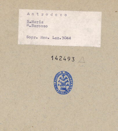 Rückseite von bh142493_recto