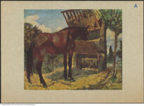 Thumbnail des 9. Ordners