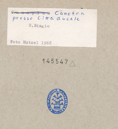 Rückseite von bh145547_recto