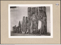 Thumbnail des 10. Ordners