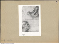 Thumbnail des 7. Ordners