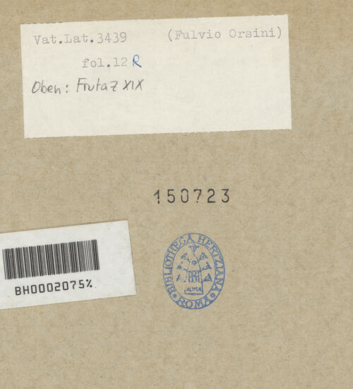 Rückseite von bh150723_recto