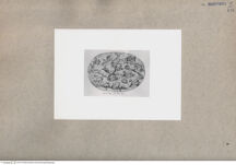 Thumbnail für PLEGINCK-MARTIN